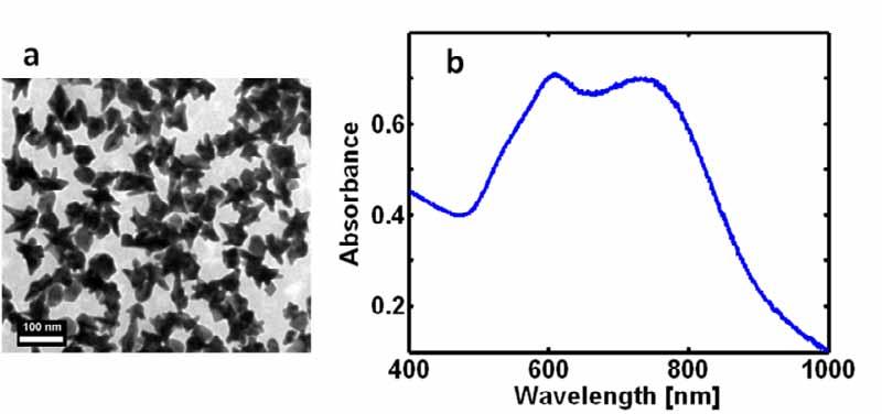 Nanostar synthesis NST samples A and B were prepared by seeded growth using 13-nm core shell Fe 3 O 4 @Au particles and 8-nm Au particle, respectively.