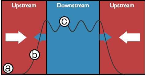4 4. Shock formation in electrostatic shocks Electrostatic shocks require a mass and temperature difference between ions and electrons.