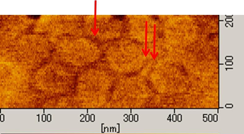 Nanomaterials and Nanotechnology 124 (a) (b) (c) FIGURE 6.3 The observed FM as a function of the mean inter-pore spacing W at T = 300 K. Mean pore diameter ( 80 nm) was kept through all samples.