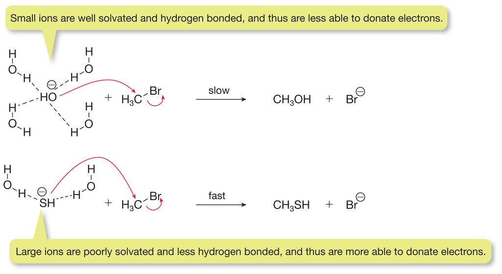 Solvent Effects in S N 1/S N 2 Reactions Small anions have a high charge density and form strong hydrogen bonds with protic solvents.