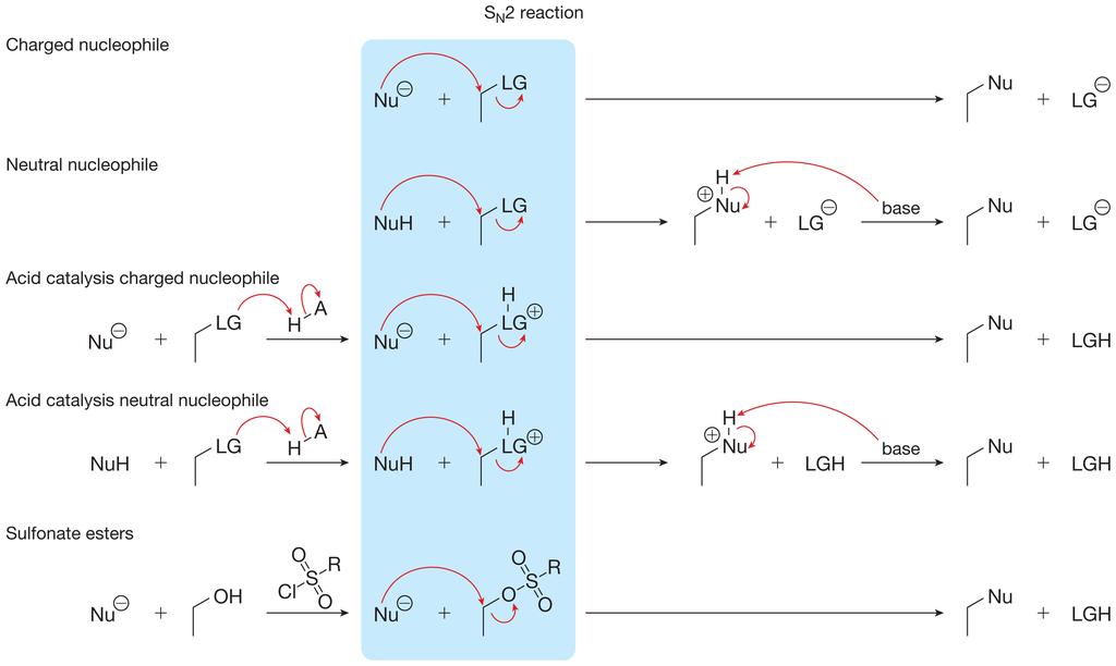 Patterns in Nucleophilic