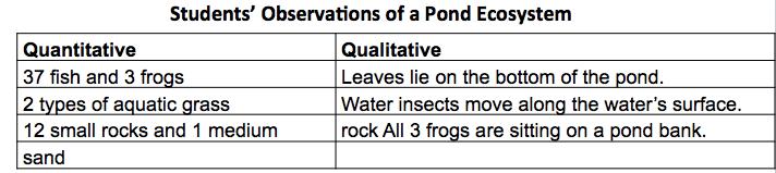 Ecology Use the table below to answer question 36. " 36. A group of students measured a ten-square-meter section of a pond ecosystem and recorded observations.