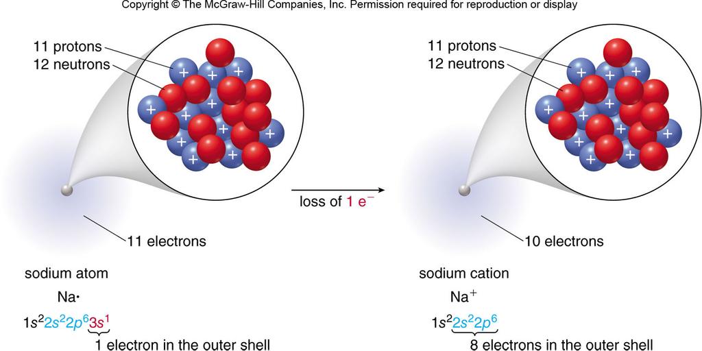 Ions Cations Cations are positively charged ions.