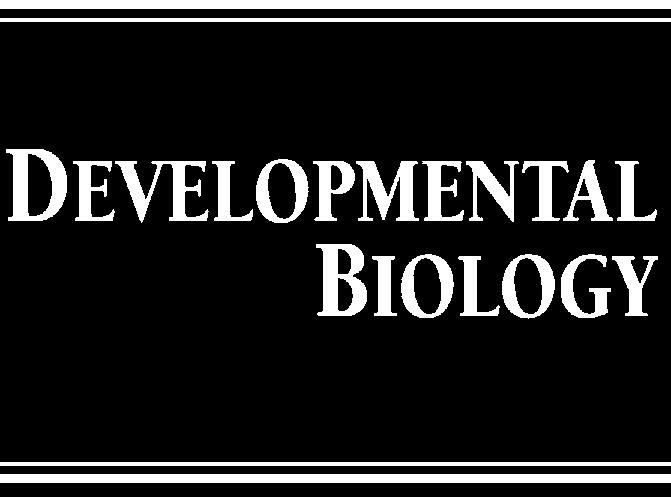 Jane Albert Hubbard* Department of Biology, New York University, 100 Washington Square East, New York, NY 10003, USA Received for publication 29 September 2004, revised 24 November 2004, accepted 9