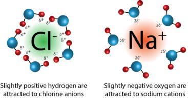Intermolecular forces Ion-dipole forces These types of interactions account in part for the solubility of ionic crystalline substances in water; the