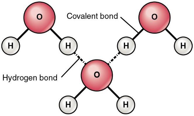 Intermolecular forces Hydrogen bond Hydrogen bond is a strong type of dipole-dipole interaction that occurs between a molecule containing a hydrogen atom and a strongly electronegative atom such as