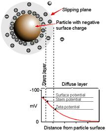 Electric Double Layer (EDL) A net charge at the particle surface affects