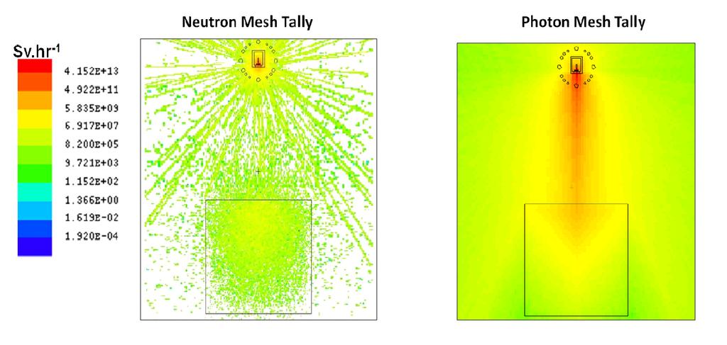 Figure 3. Average photon and neutron flux on the surface of the irradiation chamber. Figure 4. Neutron and photon mesh plots in the mineral-pet. Figure 5.