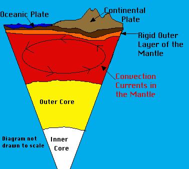 Convection Currents The middle mantle "flows" because of convection currents.