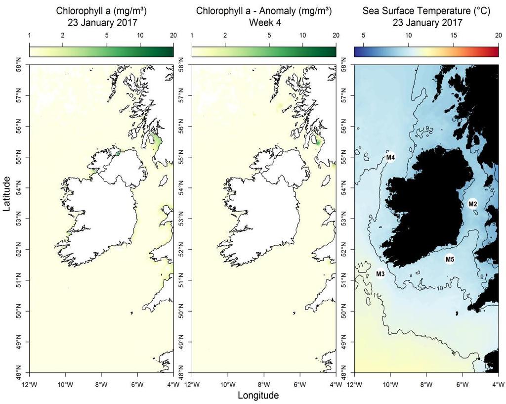 ATLANTIC OCEAN IRISH SEA Ireland Satellite data: surface chlorophyll and temperature maps Most up to date available satellite data What phytoplankton were blooming at inshore coastal sites last week?