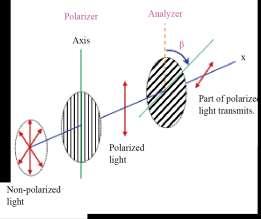 Second polarizer used for this purpose is called analyzer. If intensity of light transmitted to analyzer is zero at certain position, light is polarized with %100.
