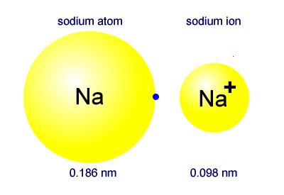 16 How about the trends of the sizes of ions?