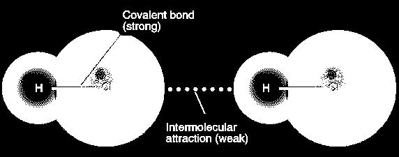 interaction, binds polar molecules together.