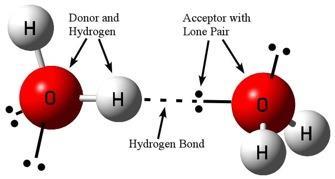 54 A special type of dipole-dipole interactions is called hydrogen-bond in which the H atom bonded to an electronegative atom (e.