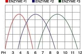 Are Substrates re-usable? 5. How do ph and temperature alter the activity of an enzyme?