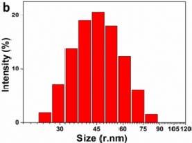 hydrodynamic diameters of the PPy nanoparticles; (c) UV-vis-NIR absorption