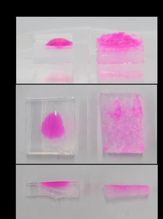 Supplementary Fig. 2 Comparison of the liquid permeability difference between nanoporous agarose gel and macroporous agarose cryogel by dropping Rhodamine-B solution on the surface of each gel.