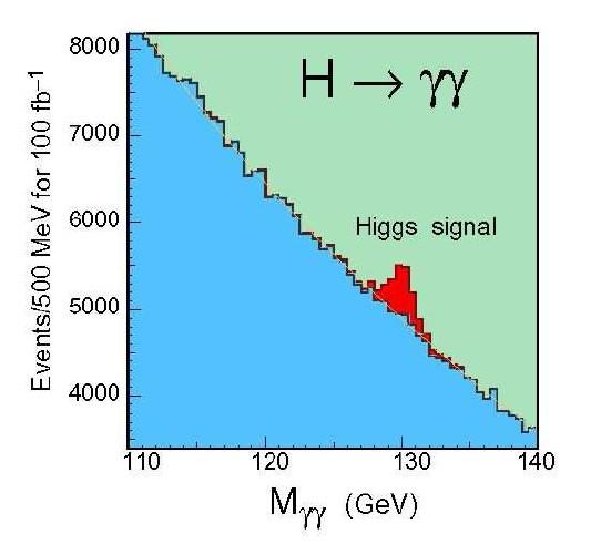 Higgs boson signal Standard Model Higgs boson