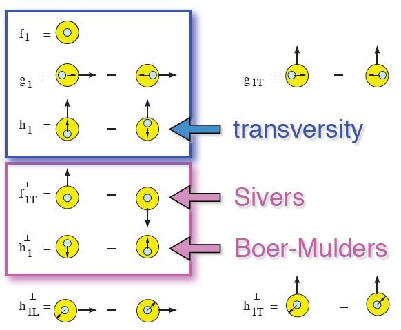 Transverse Momentum Distributions (TMDs) TMDs encode the 3D partonic picture in momentum space Target polarization essential for a comprehensive study of TMDs A collider gives a wide kinematic