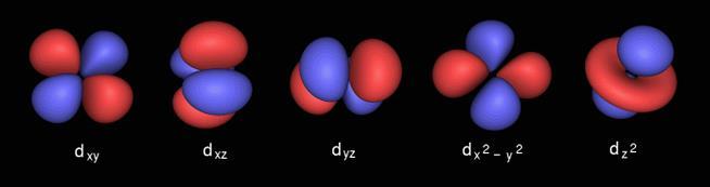 All d sublevels have 5 orbitals and can hold a maximum of 10 electrons.