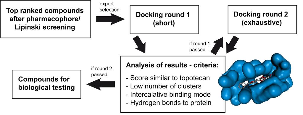 inhibition dissimilar to compounds already selected 22 compounds selected and docked (round 1) Assessment based on a combination of criteria: docking score comparable to control small number