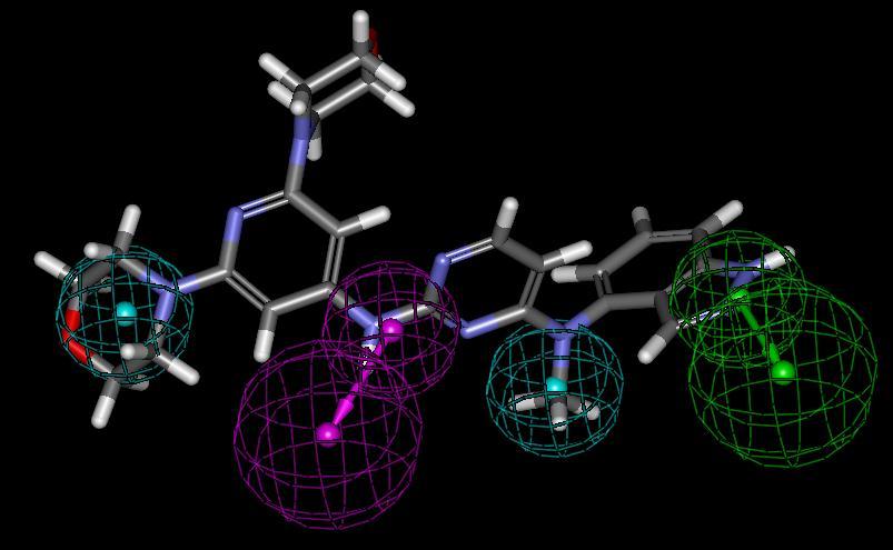 hydrogen bond donor Acoustic Tip based Each model shows most potent