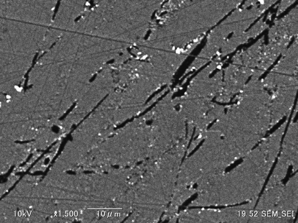 ANALYTICAL SCIENCES JUNE 2017, VOL. 33 705 Fig. 1 SEM image of Pt-NGC electrode surface. Fig. 3 HDVs of bubbling H 2 gas in 0.10 M phosphate buffer solution (ph 7.