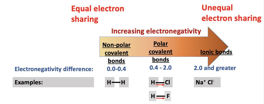 Co-ordinate Covalent bonds: In typical covalent bond, each atom in the bond provides an electron for a single