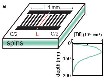 Bismuth donors in silicon 10 allowed ESR-like transitions @ low B 0