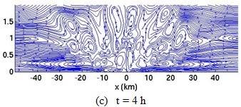 Figure-2. The time evolution of span-wise vorticity pattern is demonstrated using the streamline at t = 1 h, t = 2 h, t = 4 h, and t = 6 h for the simulation with H 0 = 925.92 Wm 2.