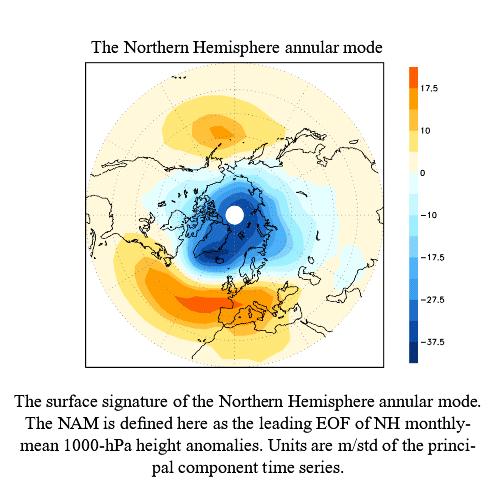 Northern Annular Mode (NAM) Thompson and Wallace, 2000 Leading empirical orthogonal function (EOF) of NH sea level pressure (SLP) anomalies. Strong zonally symmetric component.