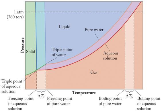 Colligative Properties of Solutions Colligative Properties: Solution properties that depend on concentration of solute particles, not the identity