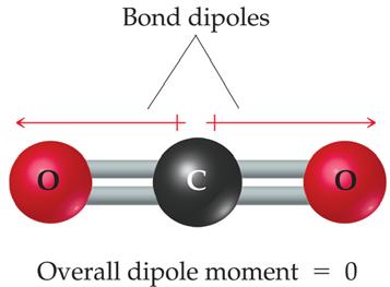 9.3 Molecular Shape and Molecular Polarity A measure of the separation and magnitude of the positive and negative charges in polar molecules is called a dipole moment.