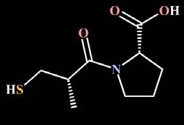 1. ACE Inhibitors Discovery of the First ACE Inhibitor Captopril is the first