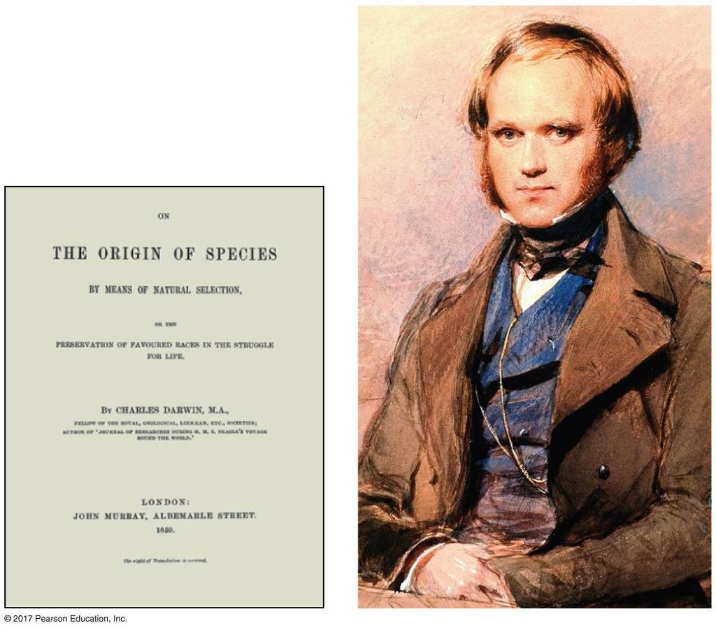 B. Charles Darwin and the theory of natural selection 1.