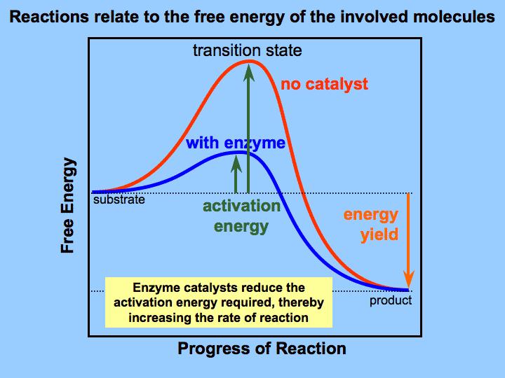29. What is the pore resistance limits for porous catalytic particles?