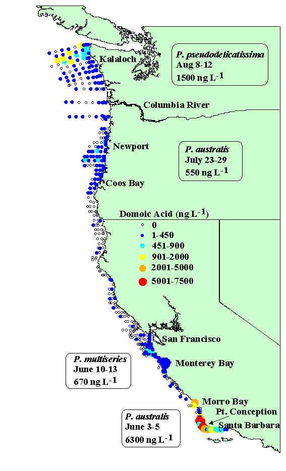 Juan de Fuca eddy Regional HAB OOS considerations Dominant processes are large scale Upwelling is dominant nutrient supply