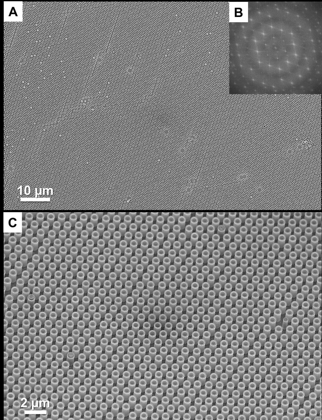 Figure S2. (A) A typical scanning electron microscope (SEM) image of a large area of the silicon nanotube arrays.