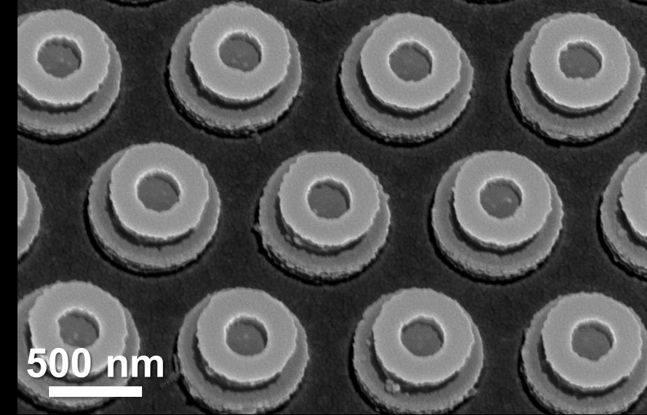 nanopillars with smooth sidewalls fabricated by single-step deep