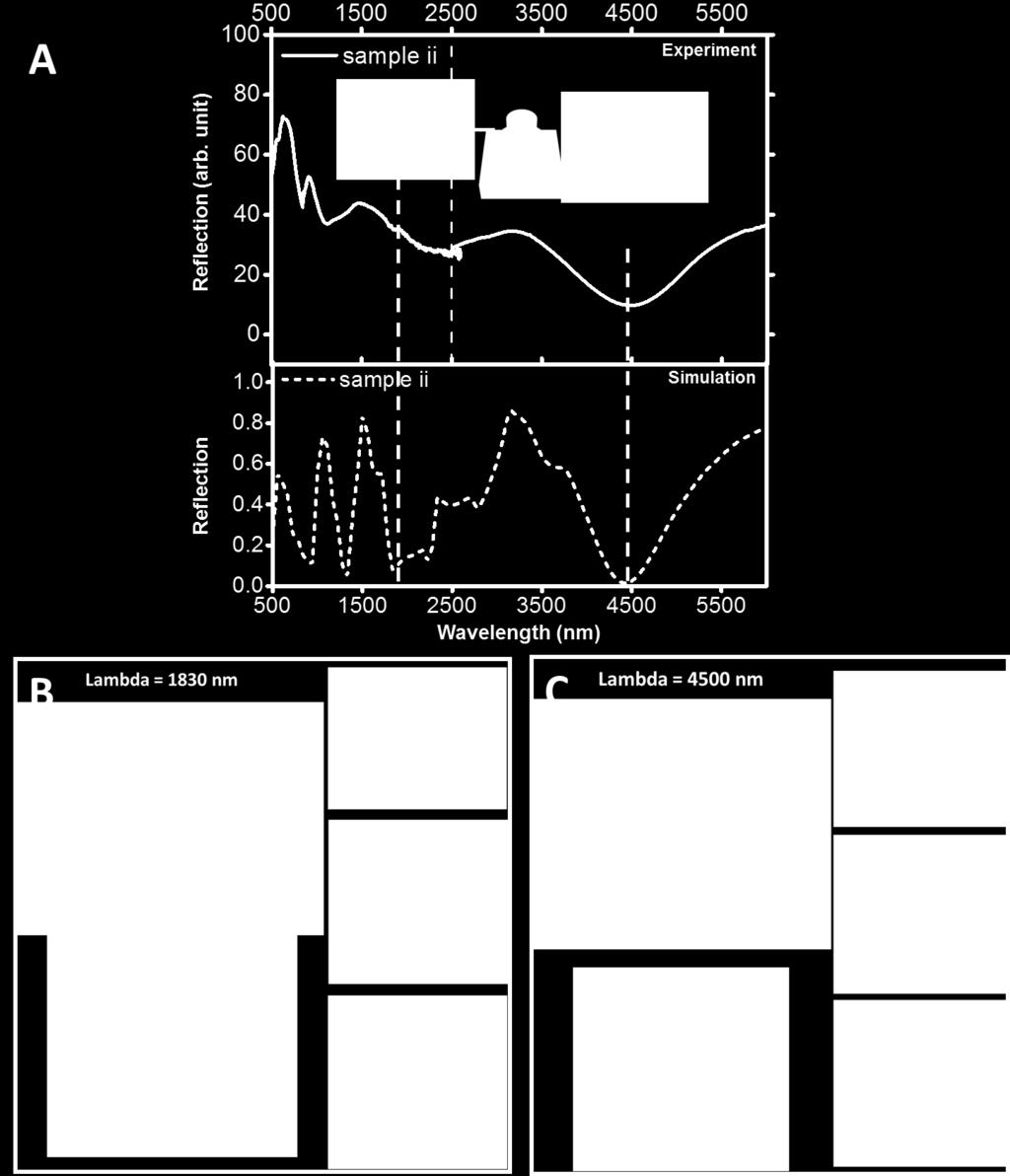 Figure S9. (A) The visible-infrared reflectance spectra of sample ii. Insets: simulation results of the electric-field distribution of sample ii under photoexcitation (cross section).