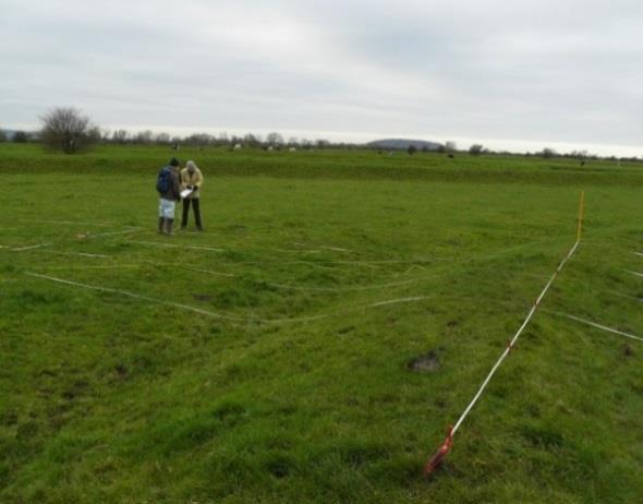 4 Bank area, close to the river yeo The location of this feature (Appendix 4) (Fig 10) is shown in Figure 2. The bank was surveyed using a tape grid, 20 x 4m, laid out using the RM15 survey baseline.