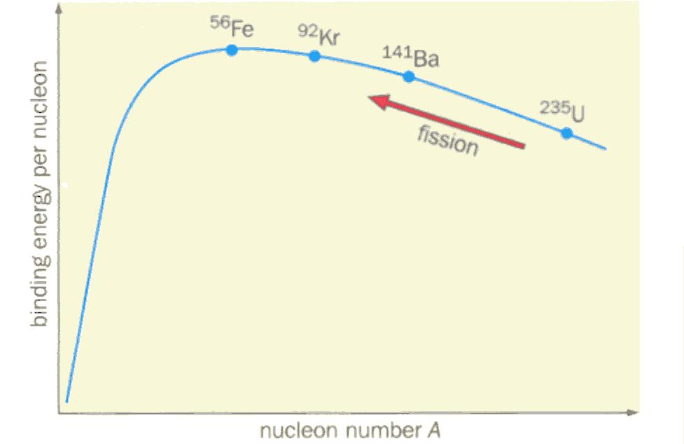 Fission Fission means splitting up. In a fission reaction a large nucleus (A > 200) splits in two.