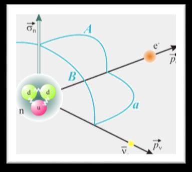 PERKEO III Measurement of A (electrons) Neutron + spin Electron Pulsed