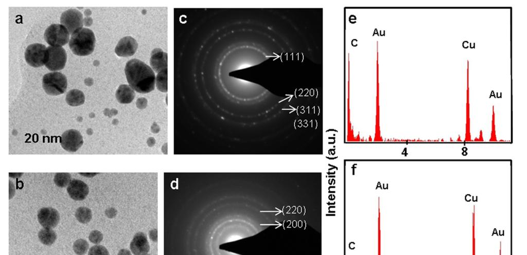 Figure 5.8: TEM (a-b), SAED (c-d), EDX (e-f) and PXRD (g-h) of Au nanoparticles synthesized by roots of intact plants of Vigna mungo and Triticum aestivum respectively, on exposure to HAuCl 4.