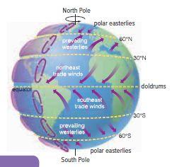 ) Earth has three major wind systems, which occur in both hemispheres.
