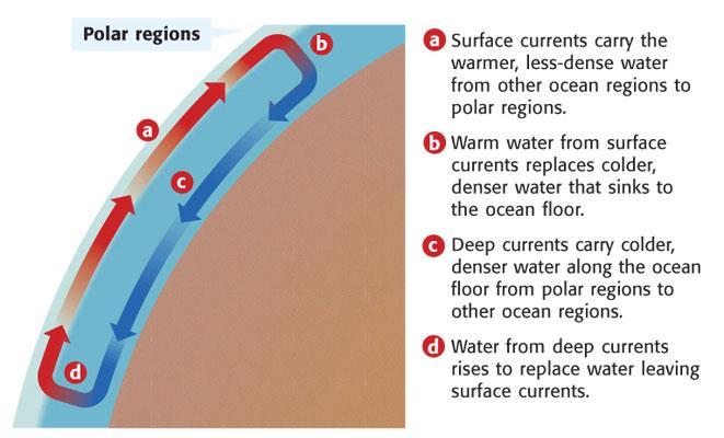 Deep Currents Deep Currents: of ocean water located the surface are called deep currents. o Deep currents are controlled by. where water density.
