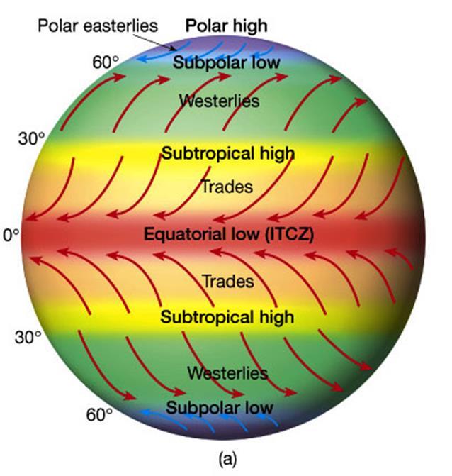 Coriolis Effect Surface winds