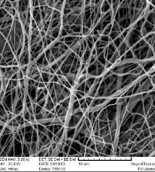 nanostructure is electrospinning.