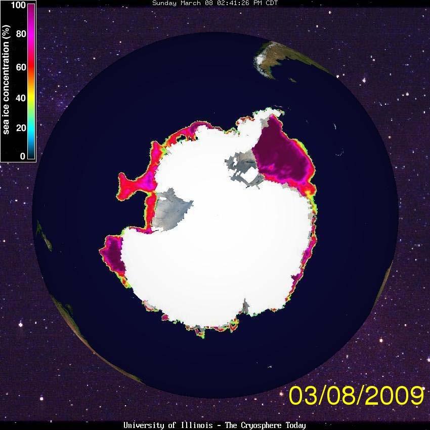 Antarctic sea-ice today (late