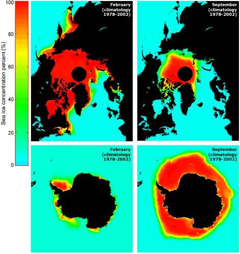 seasonal variation in sea ice Arctic sea ice distribution is partly constrained by surrounding land mass, can have multi-year ice